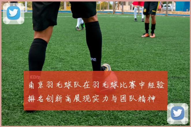 南京羽毛球队在羽毛球比赛中经验排名创新高展现实力与团队精神