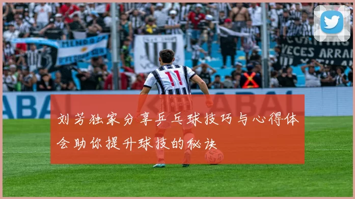 刘芳独家分享乒乓球技巧与心得体会助你提升球技的秘诀