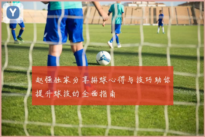 赵强独家分享排球心得与技巧助你提升球技的全面指南