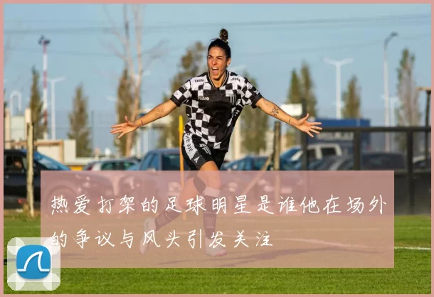 热爱打架的足球明星是谁他在场外的争议与风头引发关注