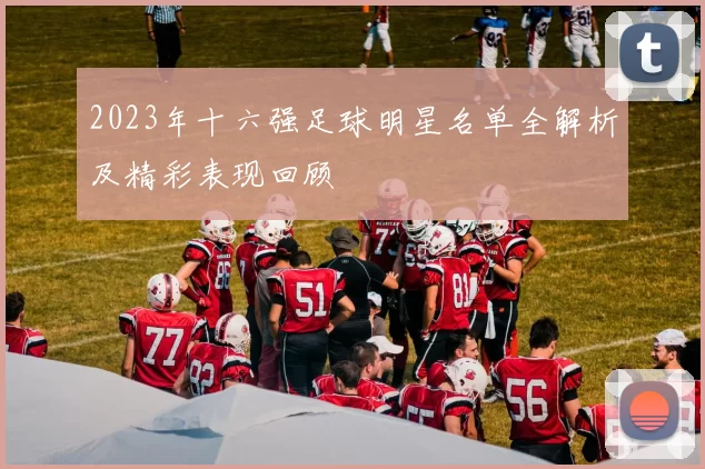 2023年十六强足球明星名单全解析及精彩表现回顾
