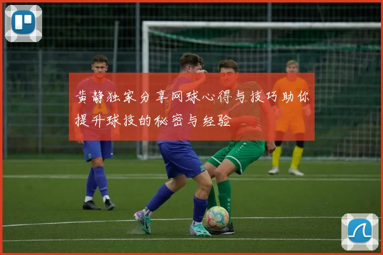 黄静独家分享网球心得与技巧助你提升球技的秘密与经验