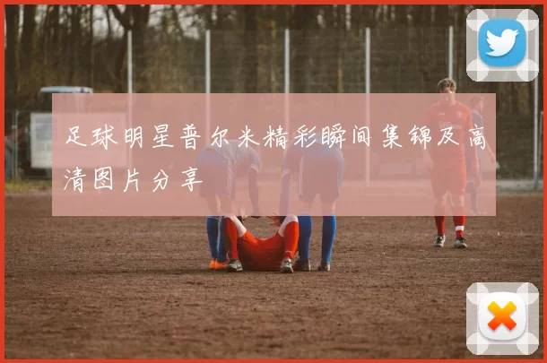 足球明星普尔米精彩瞬间集锦及高清图片分享