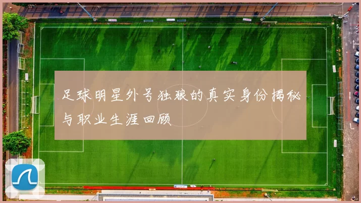 足球明星外号独狼的真实身份揭秘与职业生涯回顾