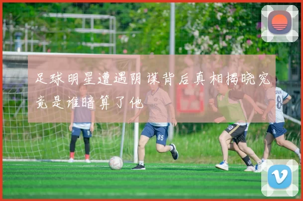 足球明星遭遇阴谋背后真相揭晓究竟是谁暗算了他