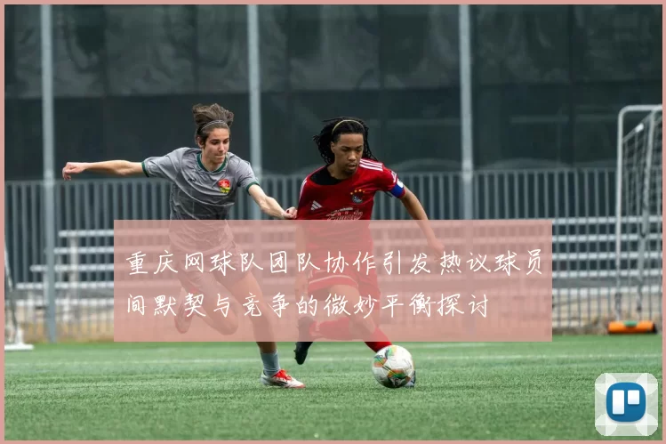重庆网球队团队协作引发热议球员间默契与竞争的微妙平衡探讨