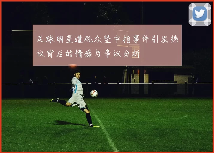 足球明星遭观众竖中指事件引发热议背后的情感与争议分析