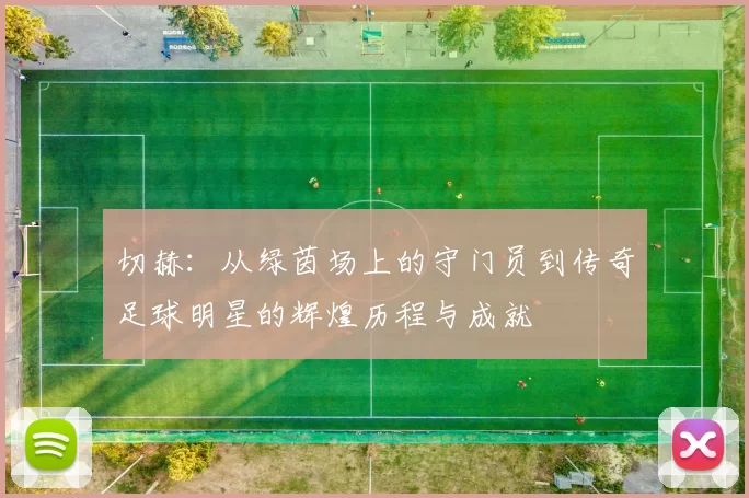 切赫：从绿茵场上的守门员到传奇足球明星的辉煌历程与成就