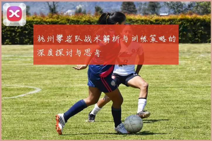 杭州攀岩队战术解析与训练策略的深度探讨与思考
