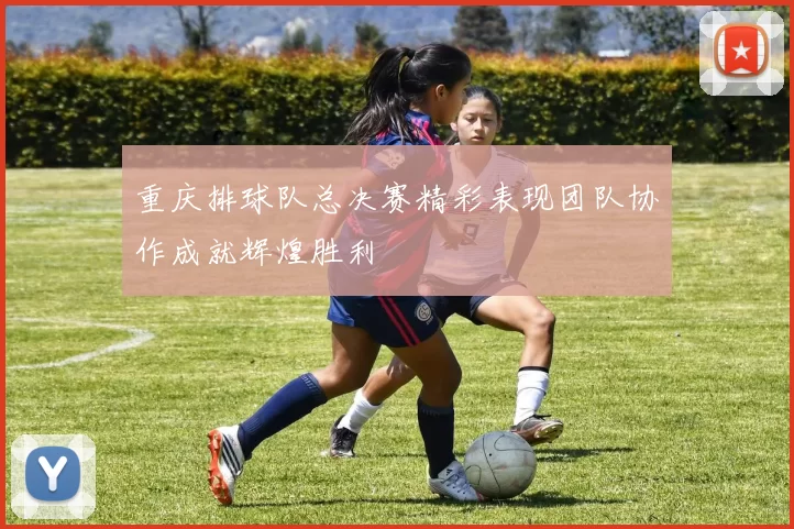 重庆排球队总决赛精彩表现团队协作成就辉煌胜利