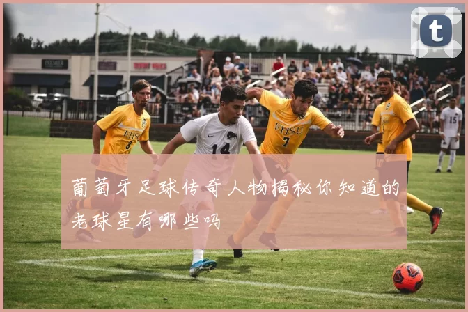 葡萄牙足球传奇人物揭秘你知道的老球星有哪些吗