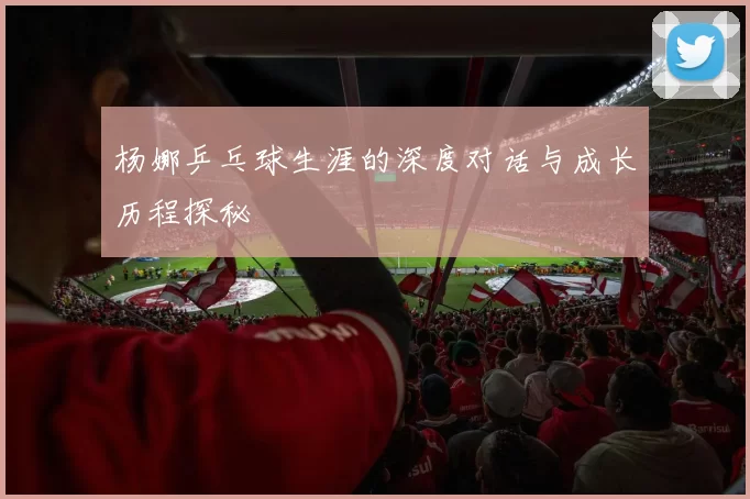 杨娜乒乓球生涯的深度对话与成长历程探秘