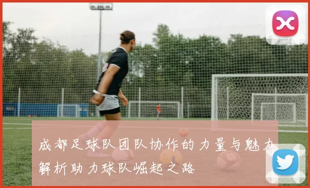 成都足球队团队协作的力量与魅力解析助力球队崛起之路