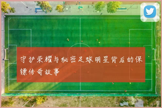 守护荣耀与秘密足球明星背后的保镖传奇故事