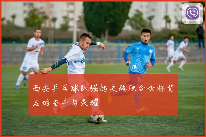 西安乒乓球队崛起之路联合会杯背后的奋斗与荣耀