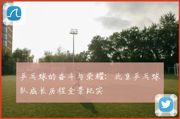 乒乓球的奋斗与荣耀：北京乒乓球队成长历程全景纪实
