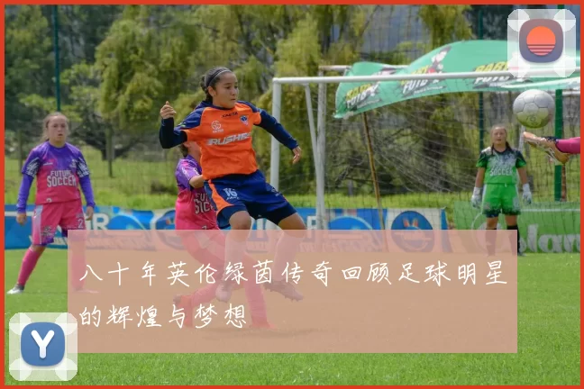 八十年英伦绿茵传奇回顾足球明星的辉煌与梦想