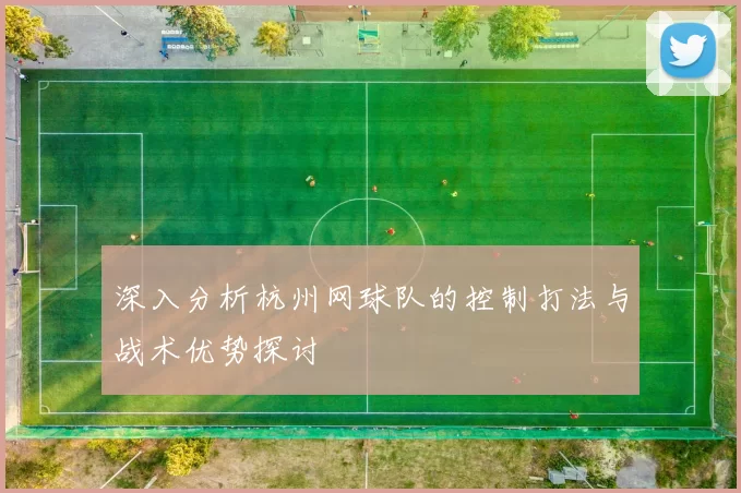 深入分析杭州网球队的控制打法与战术优势探讨