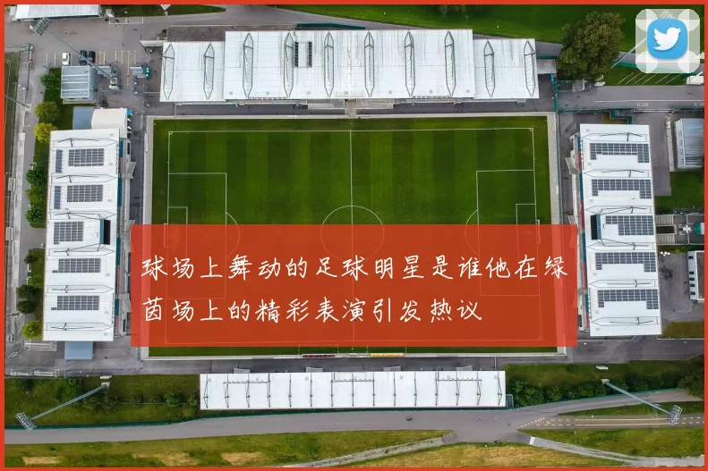 球场上舞动的足球明星是谁他在绿茵场上的精彩表演引发热议