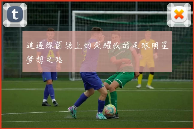 追逐绿茵场上的荣耀我的足球明星梦想之路
